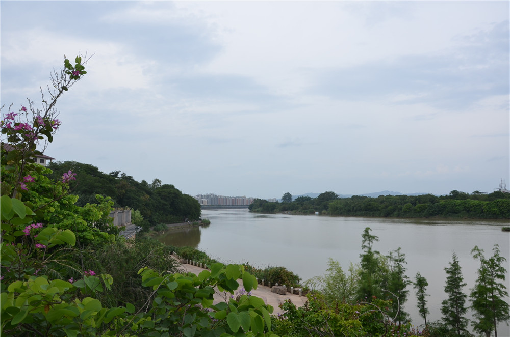 國(guó)務(wù)院：聚焦企業(yè)關(guān)切，進(jìn)一步推動(dòng)優(yōu)化營(yíng)商環(huán)境政策落實(shí)